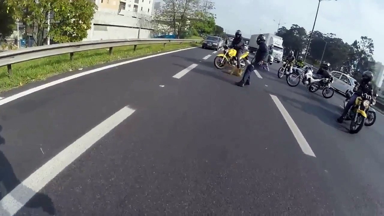 Des motards sauvent un chien sur la route