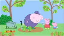 Peppa Pig - Le parfum (HD) // Dessins-animés complets pour enfants en Français