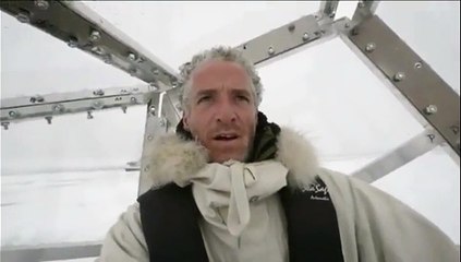 Un caméraman se met dans une cage pour filmer un ours polaire