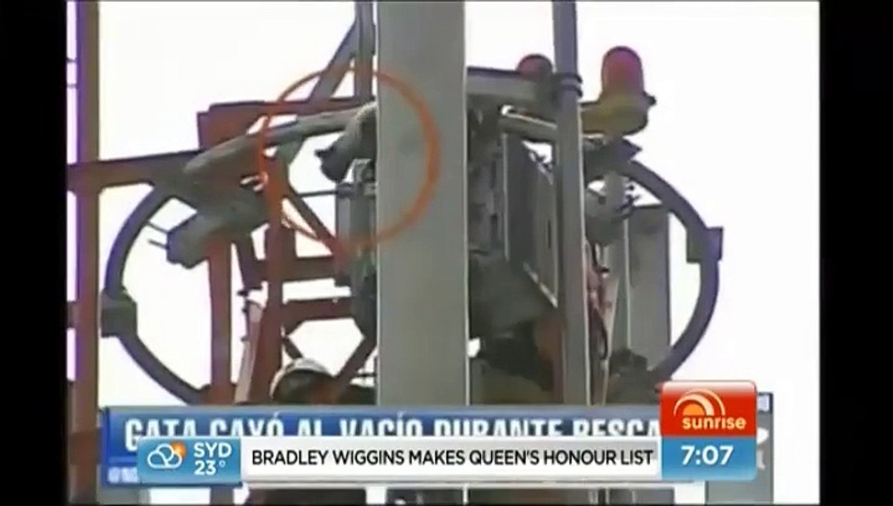 Un chat fait un vol plané de 25 mètres