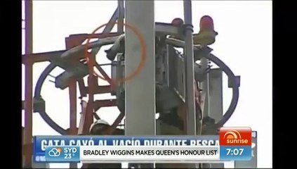 Un chat fait un vol plané de 25 mètres