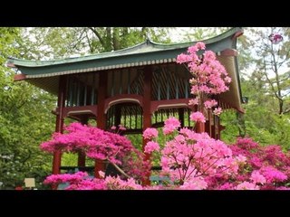 Botanical Gardens Berlin / videoscout-it