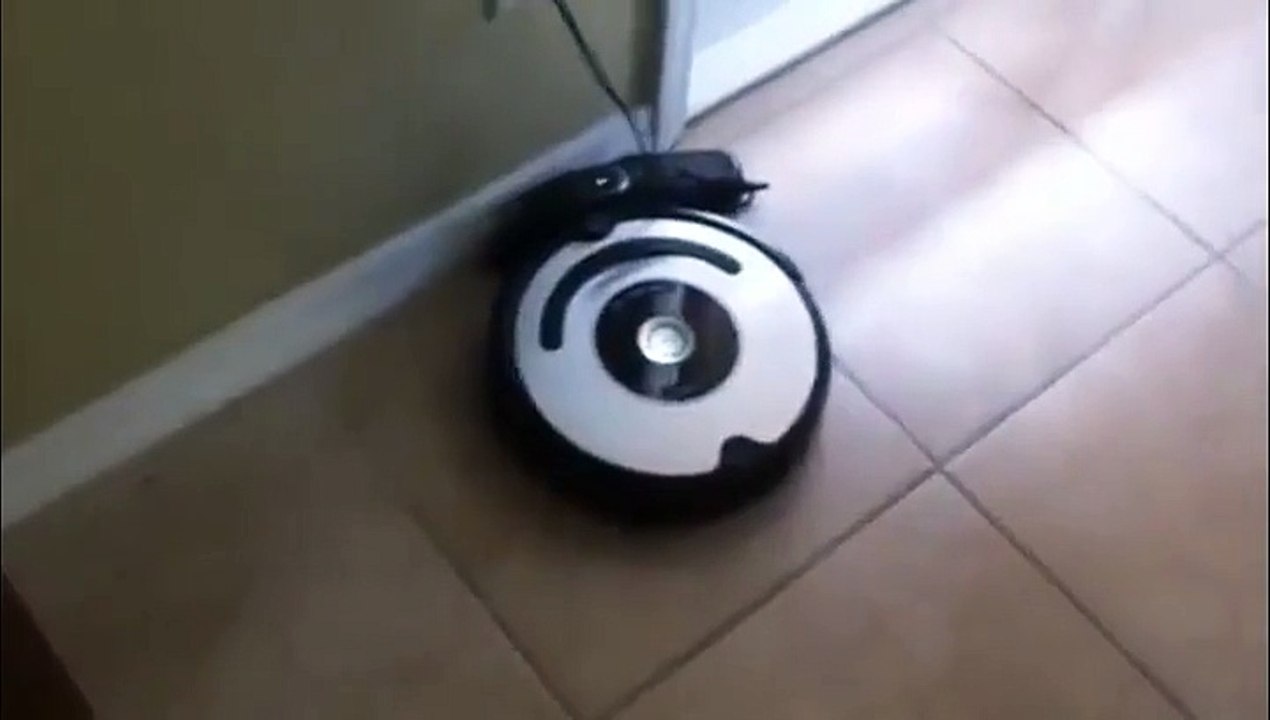 Mon aspirateur robot à étalé dans la maison la merde de mon chien