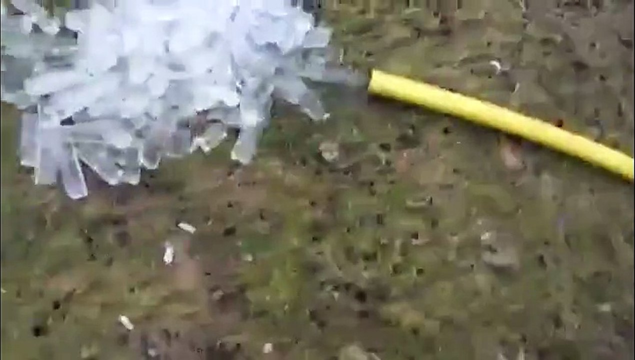 Quelqu'un veut des glaçons du jardin ?