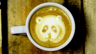Latte Art : Petit Chat, Panda, Papillon, Lion, Cygne, ...