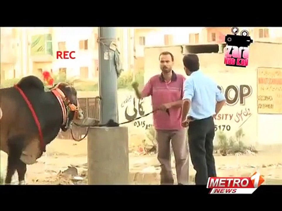 funny ZARA HUT KAY cow new funny pakistani clips