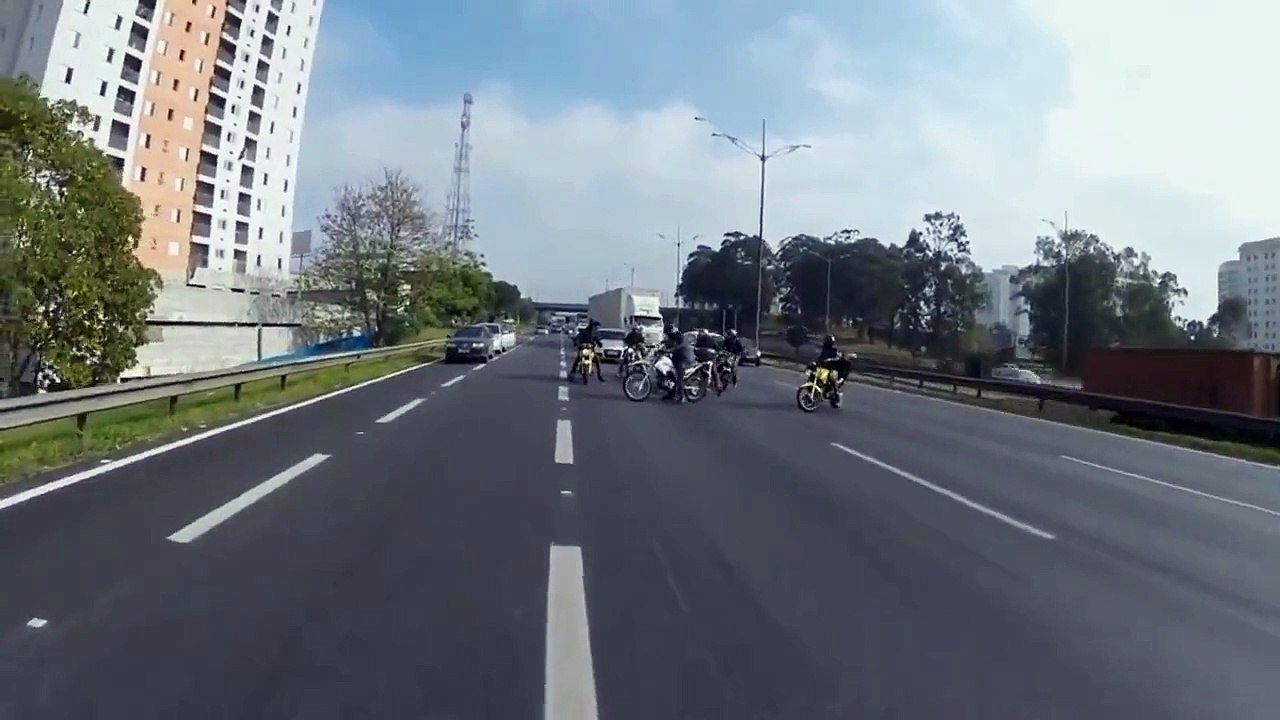 Brésil : Un chien est sauvé par un groupe de motards