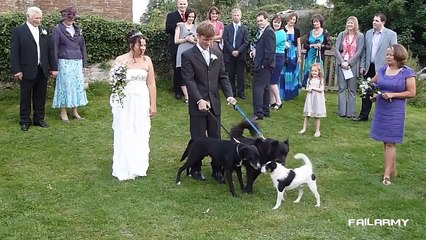 FailArmy - Wedding Fails Compilation 2012 __ FailArmy