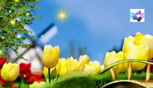 soñar que vemos un cementerio desde lejos significado de los sueños español latin