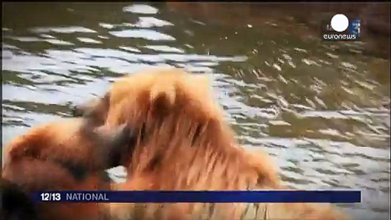 Francia, el mundo de la televisión y del deporte, de luto por las muertes en el rodaje de un “reality”