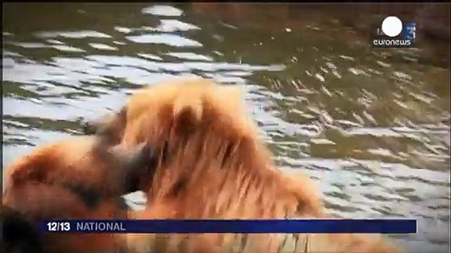Francia, el mundo de la televisión y del deporte, de luto por las muertes en el rodaje de un “reality”