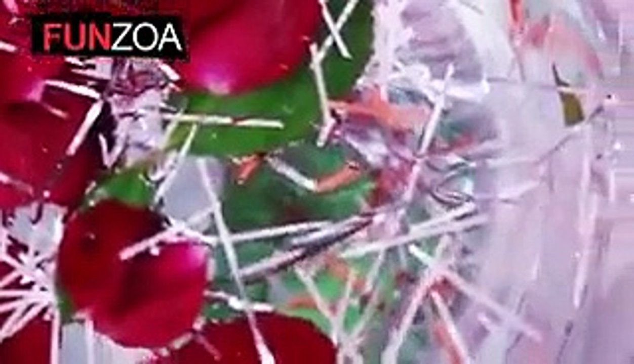 funny song