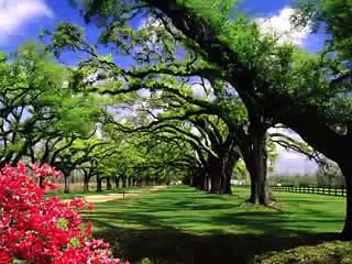 Vídeo do fim da reunião do comitê gestor
