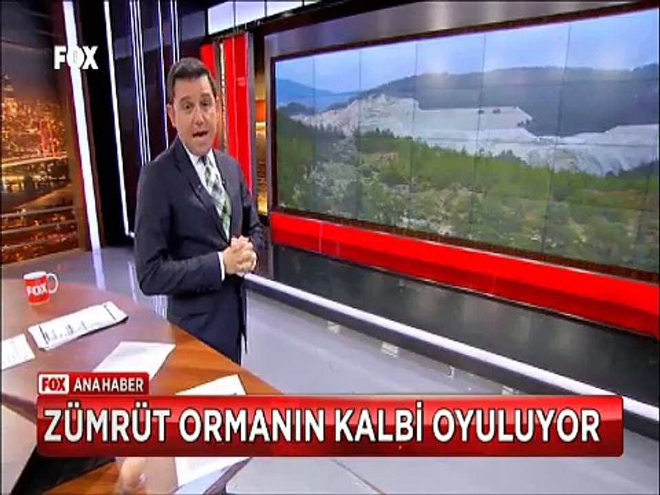 Antalya'nın Finike ilçesinde koruma altındaki Sedir ormanlarının kalbi böyle oyuldu