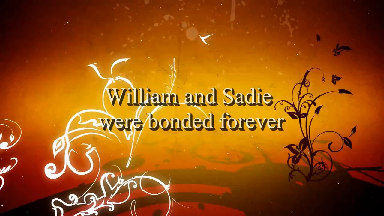 Book Video Trailer: The Fury of Angels Joy Cieslarski