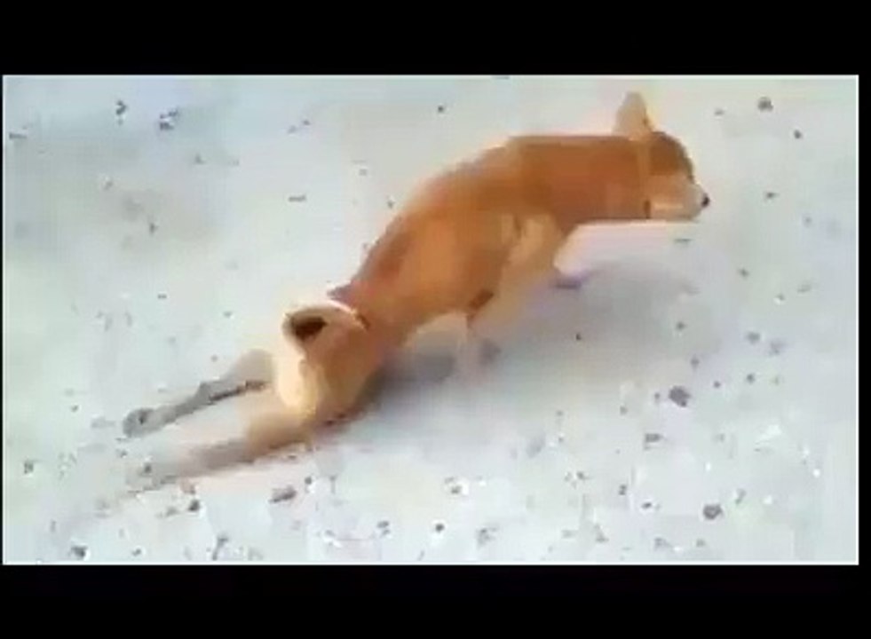 When we started to watch this video!