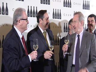 El cava recupera el mercado interior tras varios años de retroceso