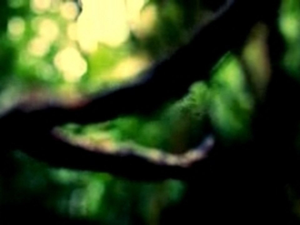 Journey Diamond Jewelry Commercial