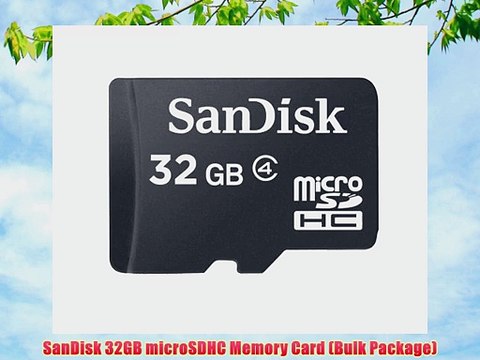 SanDisk 32GB microSDHC Memory Card (Bulk Package)