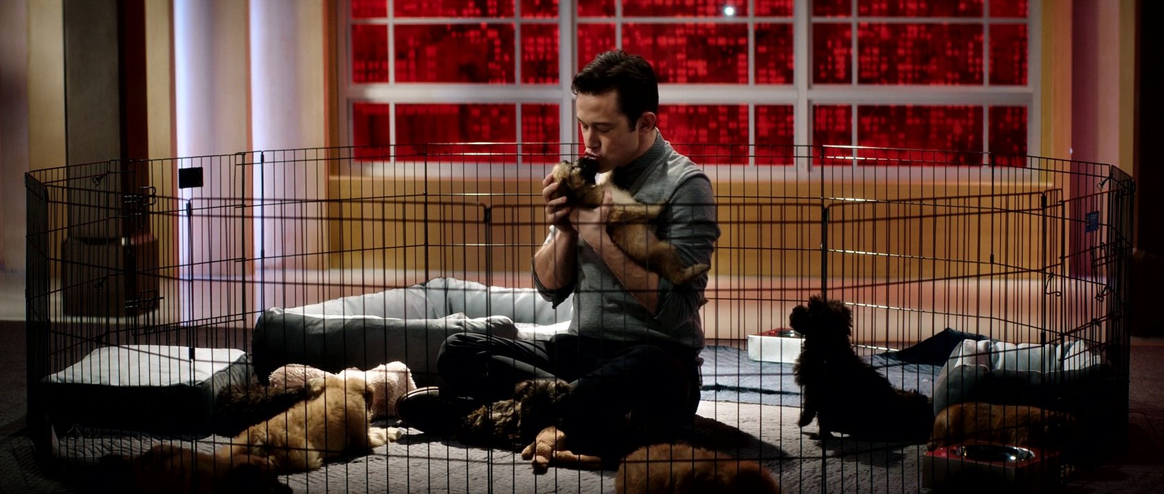 Интервью (комедия, боевик)