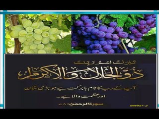 Surah Al Rehman 55 سورہ الرحمن