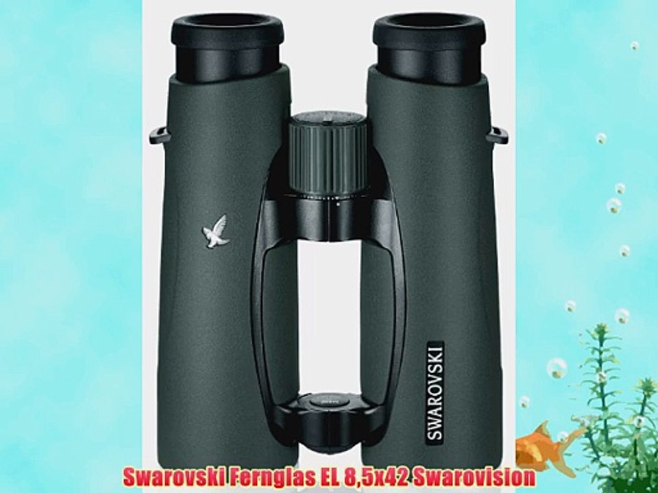 Swarovski Fernglas EL 85x42 Swarovision