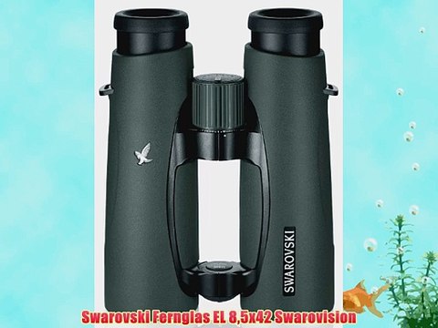Swarovski Fernglas EL 85x42 Swarovision