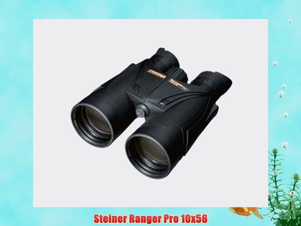 Steiner Ranger Pro 10x56