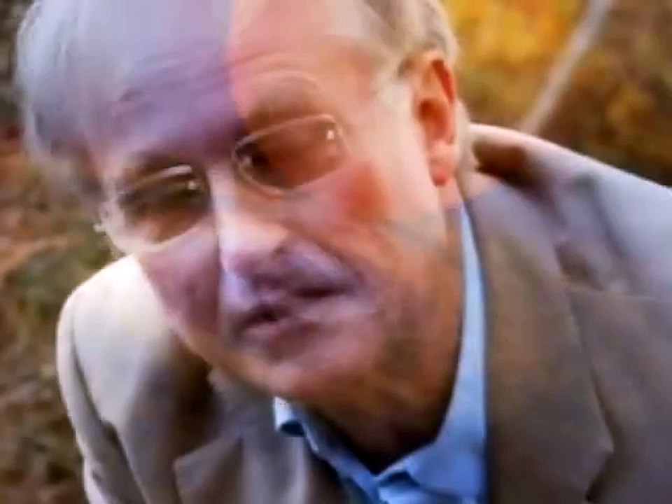 Symphony of Science -  Our Place in the Cosmos  (ft. Sagan, Dawkins, Kaku, Jastrow)