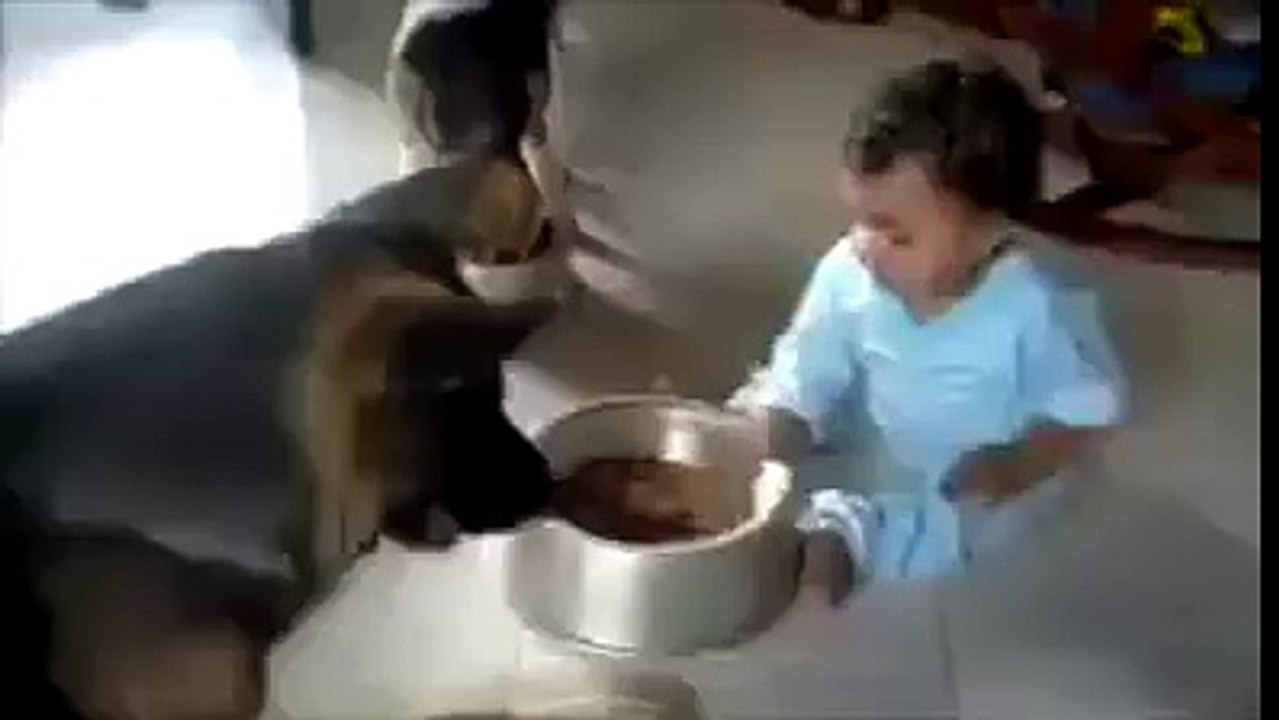 kid and dog,,funny video,,