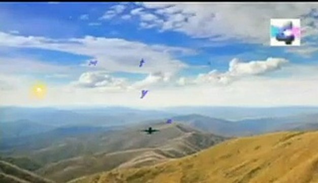 la extincion de las ballenas, Misterios y Enigmas, Español latino