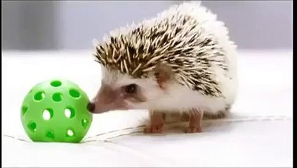 tháo lắp điều hoà tại ngọc lâm 0986687668 - Video Dailymotion