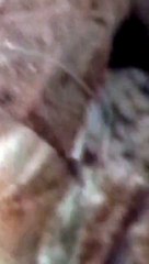 Another exclusive footage from MQM 90 Karachi