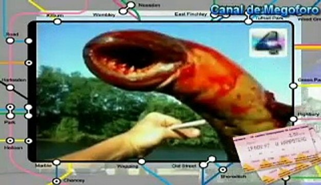 la medicina del antiguo egipto, Misterios y Enigmas, Español latino