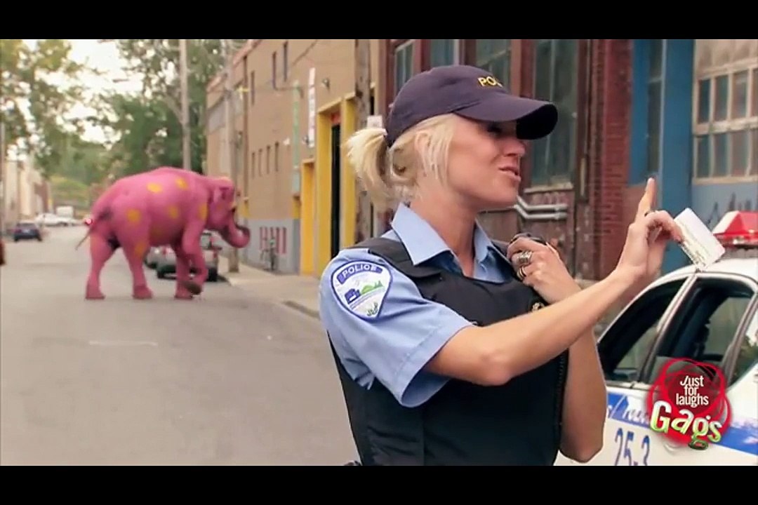 Pink Elephant Prank - Just For Laughs Gags