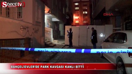 Download Video: Park kavgası kanlı bitti!