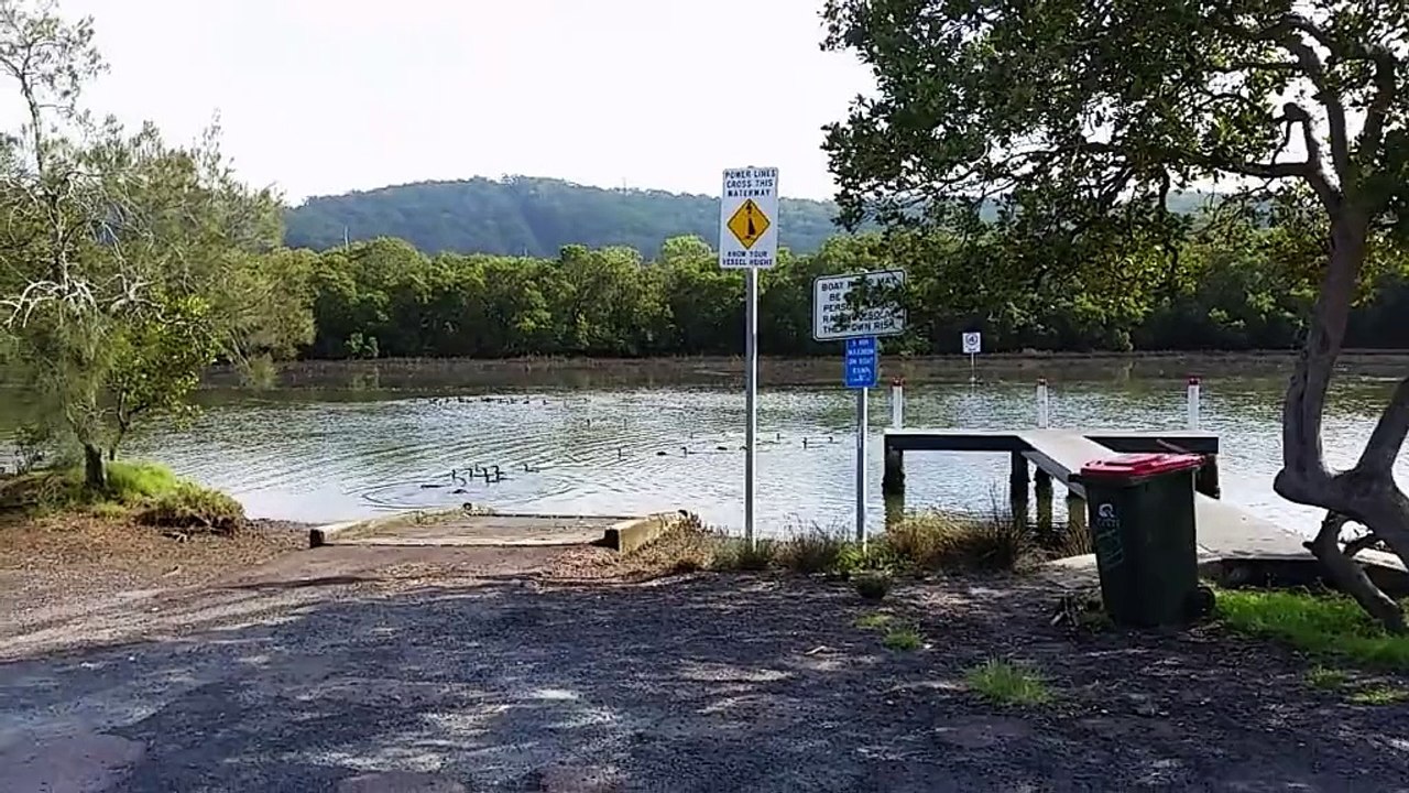 Birds 2