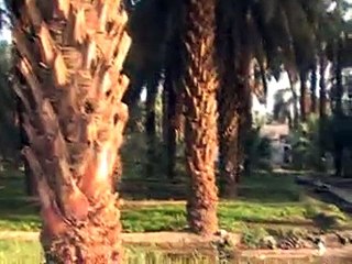 خاکِ شفا کی وادی