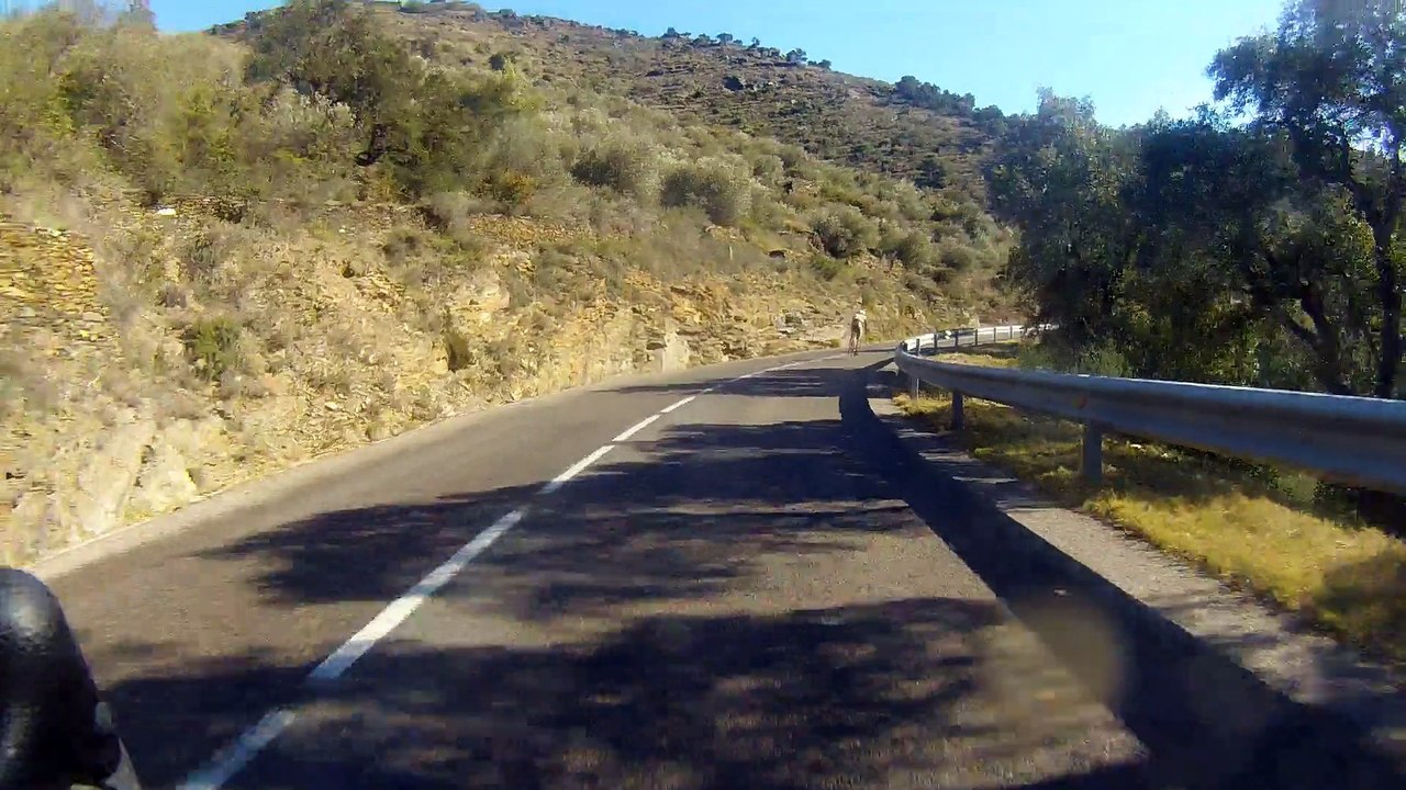 VCV Rosas 2015 jour 1 video 6