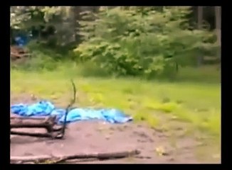 Привидения и призраки. Видео факты духов умерших