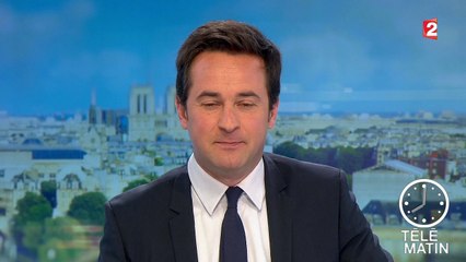 Crash en Argentine : des experts français attendus