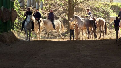 Hongrie: rencontre avec le héros moderne du tir à l'arc équestre