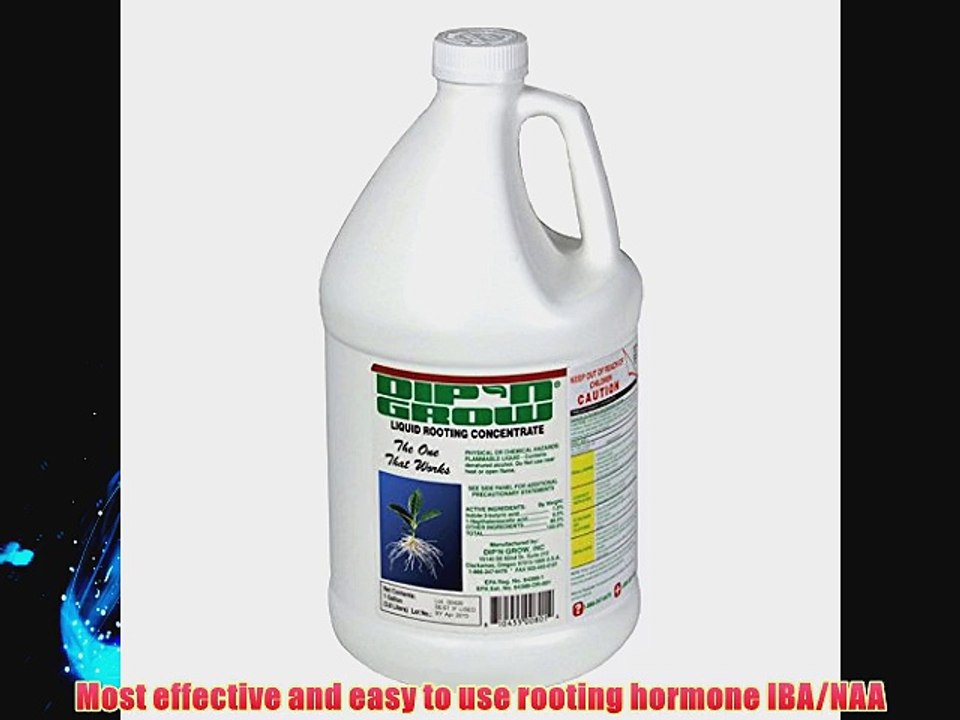 Dip and Grow Inc. Dip-N-Grow 1 gal. - Case of 4