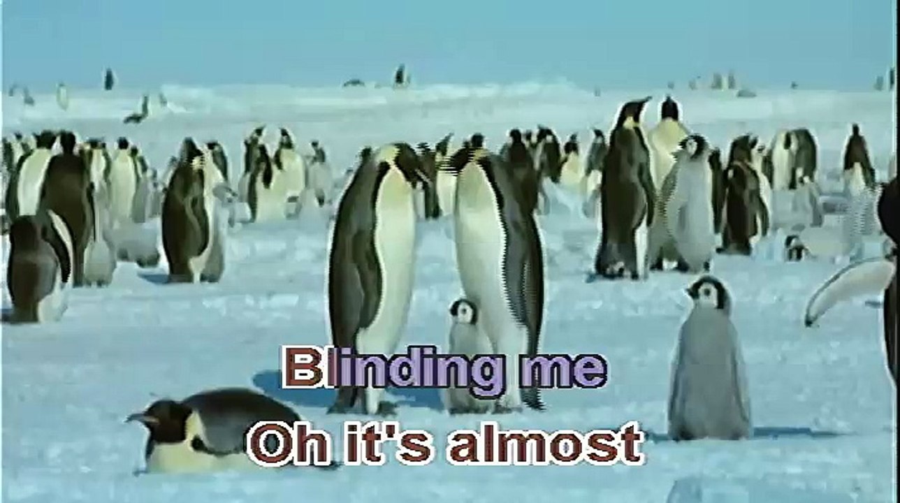 A New Day Has Come -Celine Dion