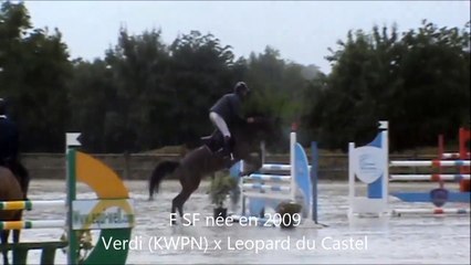 Veritza CSO Bonneval juin 2014