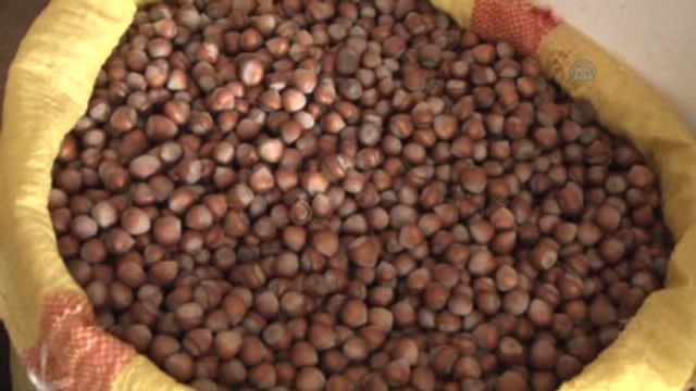 Fındık, Fiyat İstikrarını Koruyacak