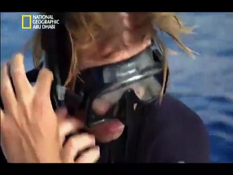 ألغاز الحيتان الحدباء