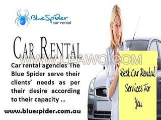 Blue Spider- Makes Your Trip Enjoyable and Relaxing