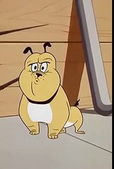 cats me outch flea