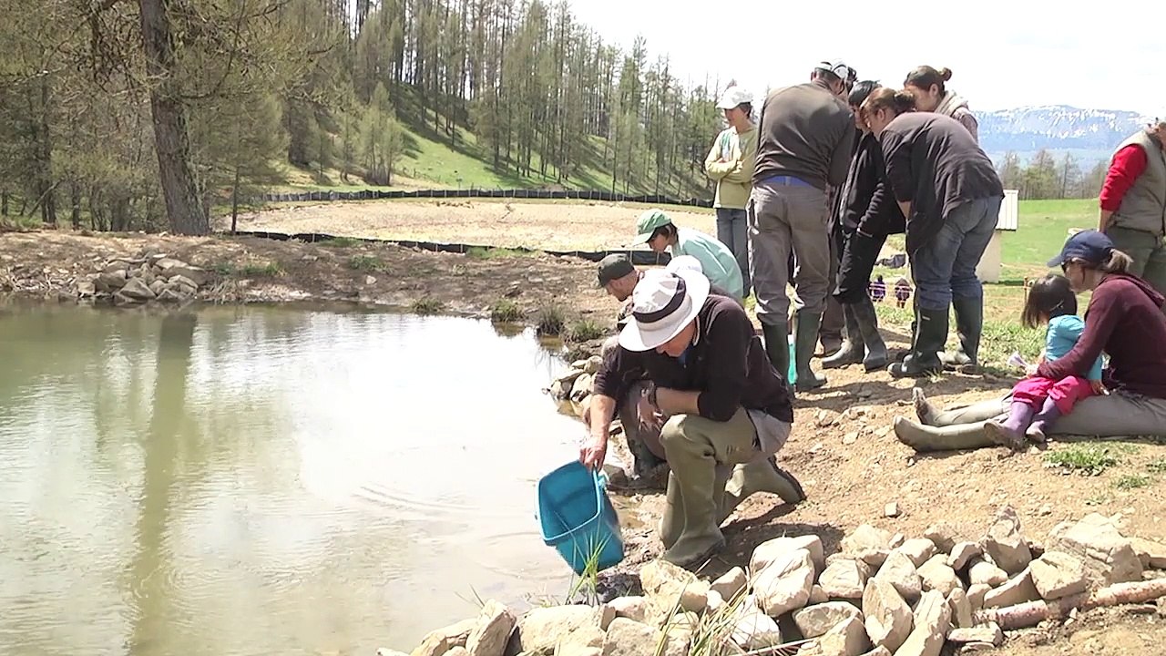 Les Trésors D!CI : St Léger les Mélèzes - Partie 2